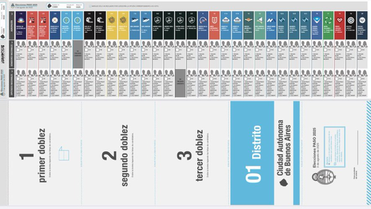 La Boleta Única ya volvió a Diputados, que insistiría con la redacción original que permite votar boleta completa