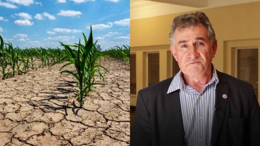 El duro diagnóstico del campo por la sequía: En algunas zonas ya se perdió todo