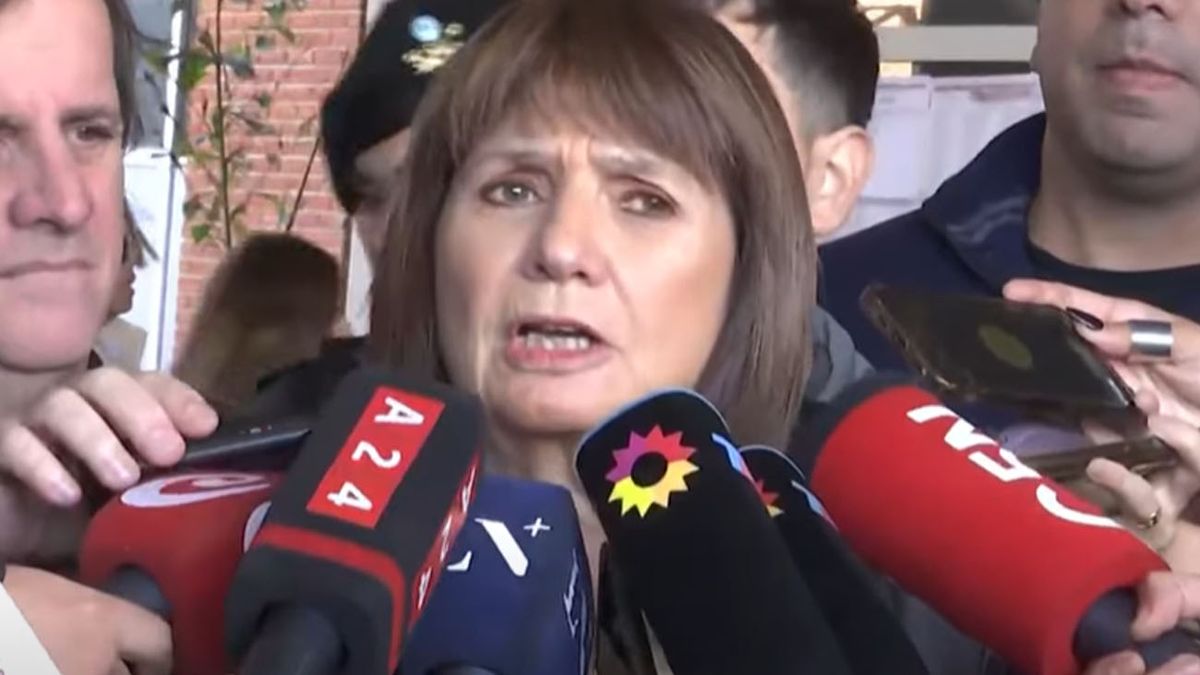 Bullrich apoyó a La Libertad Avanza tras la denuncia por el falso video y apuntó contra Macri: Tiene poco carácter (Foto: captura)