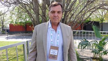 Alza del dólar blue y elecciones: cómo impacta en el mercado inmobiliario, según un especialista