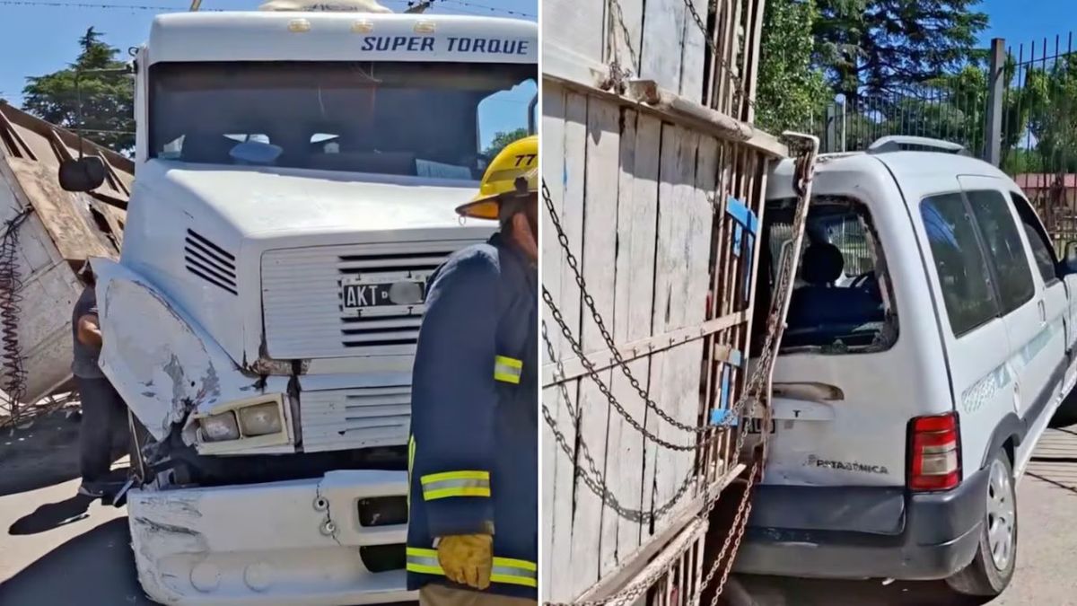 Caos en Córdoba: un camión volcó y 23 vacas desataron una escena insólita.