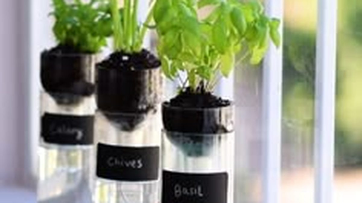 Quien tiene botellas de vidrio vacias en su casa tiene un tesoro: por qu&eacute; y para qu&eacute; utilizarlas