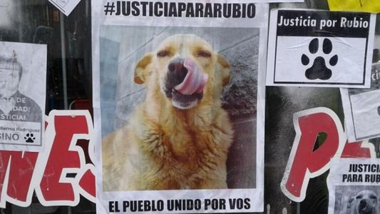 En un fallo histórico, condenaron a prisión a un hombre que torturó y mató a un perro