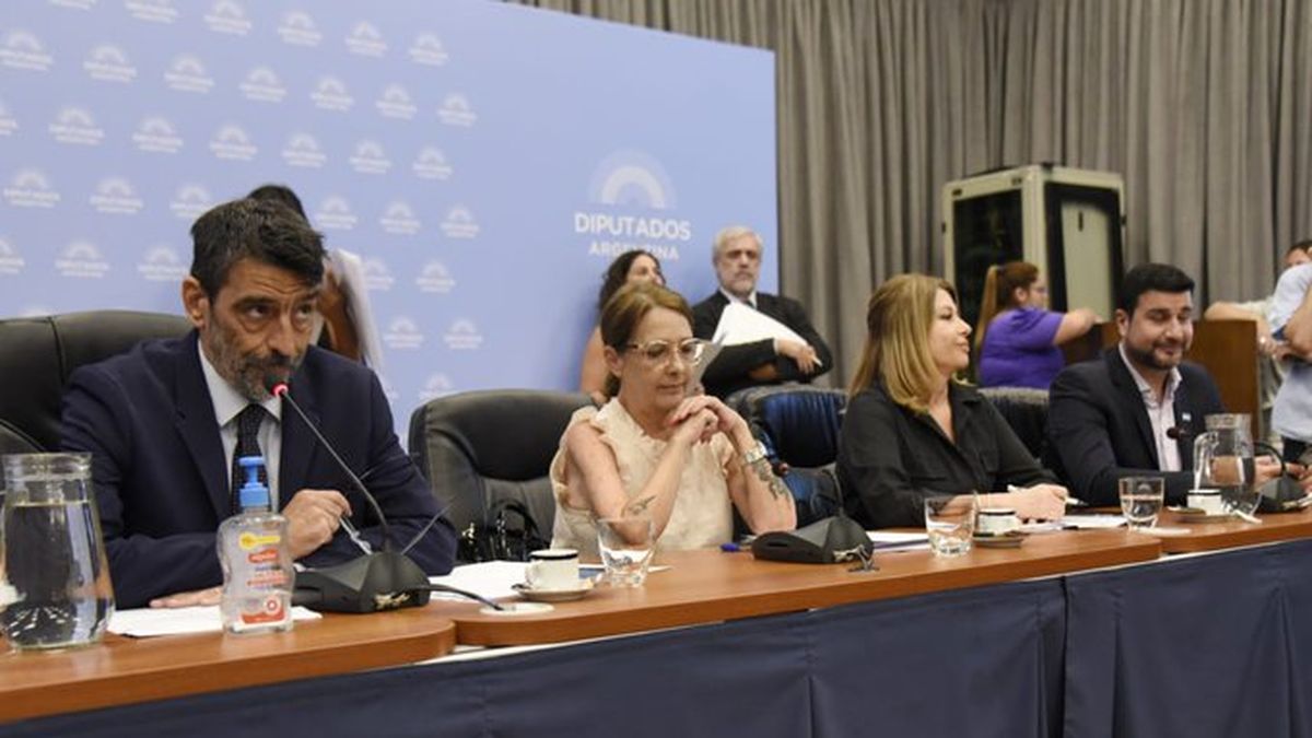 La Cámara de Diputados emitió dictamen al proyecto para fortalecer la justicia santafesina. (@DiputadosAR)