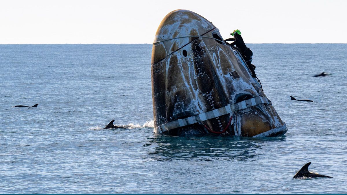 Los delfines rodean a la c&aacute;psula mientras trabajan los t&eacute;cnicos de SpaceX y de la Nasa. (Foto: Captura de TV)