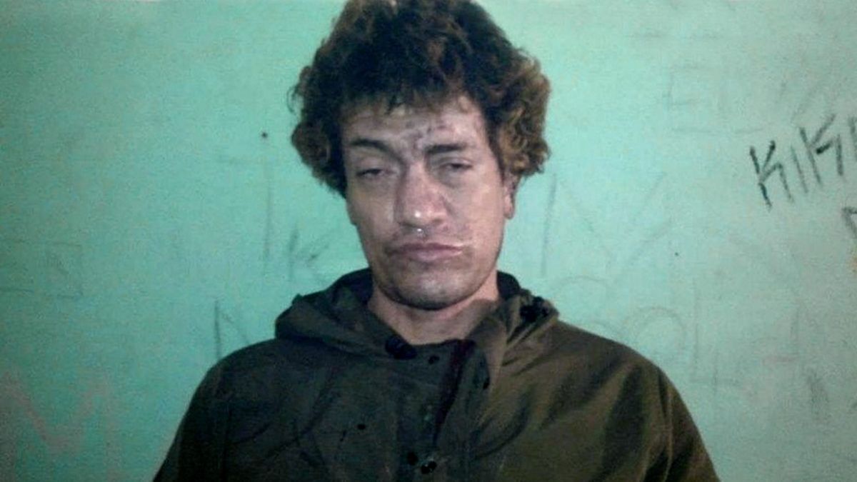 Las pericias a Pity Álvarez determinaron que sufre un cuadro de trastorno depresivo y de apatía (Foto: Télam).