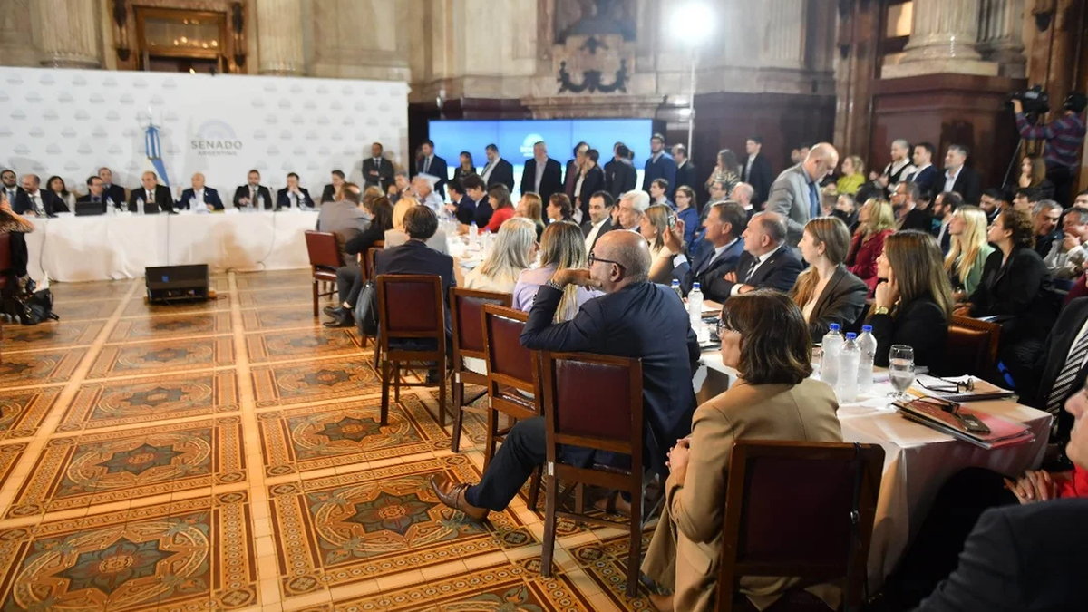 El Senado de la Nación entró en cuarto intermedio. (Foto: NA).