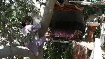 Lleva ocho años viviendo en un árbol