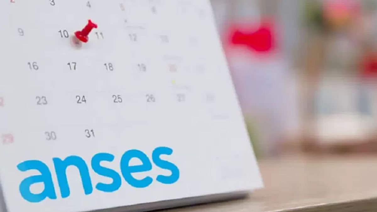 ANSES activó el CALENDARIO DE PAGOS para jubilados y pensionados: cuándo y cuánto cobro en agosto (Foto: archivo)