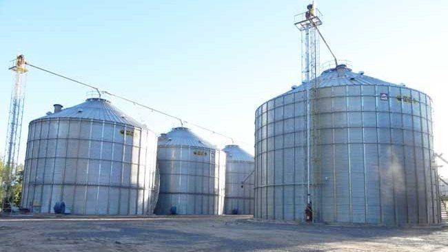 Cómo trabaja un semillero en la multiplicación y fiscalización de variedades de soja
