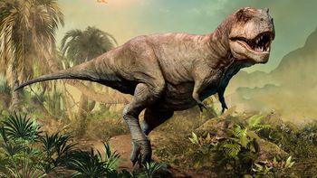 El Tiranosaurio Rex, no fue el rey de los animales prehistóricos. (Foto: Gentileza NG) El Tiranosaurio Rex, no fue el rey de los animales prehistóricos. (Foto: Gentileza NG)