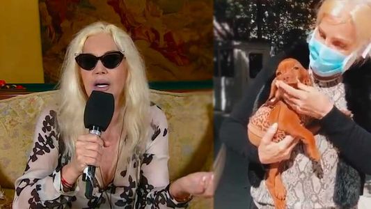 Trascendió cómo fue el accidente que sufrió Susana Giménez por el que debió ser internada