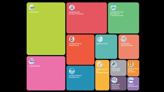 Día mundial del medio ambiente: las 4 actividades que más emisiones de gases de efecto invernadero generan en la Argentina y sus posibles soluciones