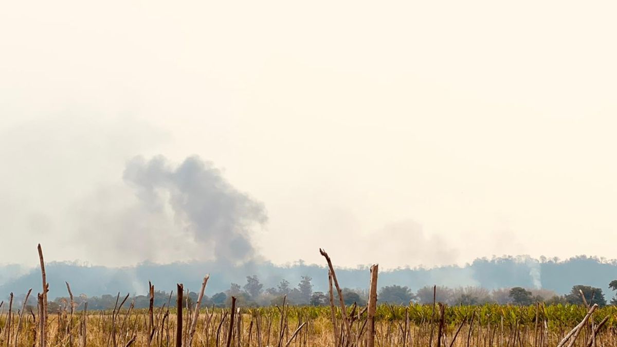 Incendio forestal en Orán, Salta. La imagen fue enviada por un productor frutícola a A24.com Agro este miércoles. 