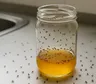 Cómo eliminar las mosquitas de la casa y evitar que vuelvan