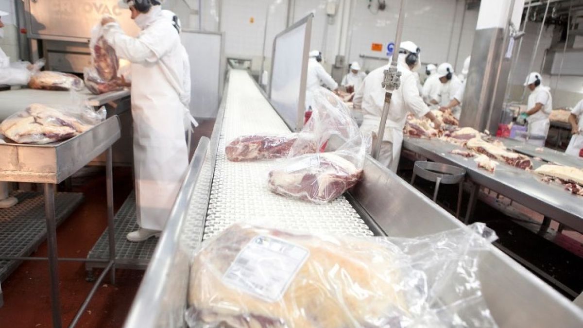 Argelia es el 11º destino de exportación de los productos agroindustriales argentinos. (Foto: Archivo)