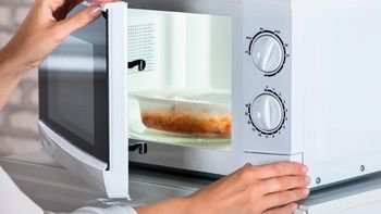 Descubrí el truco viral para descongelar alimentos en el microondas y mejorar tus recetas