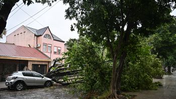 SUBSIDIO por el TEMPORAL: cuáles son los REQUISITOS y hasta cuándo hay TIEMPO