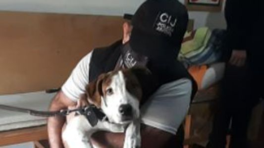 Emotivo: así rescataron a la perra que recibió una brutal golpiza en Floresta