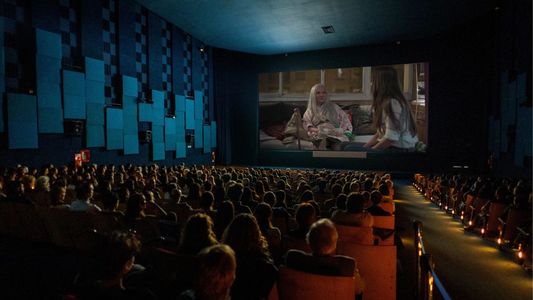 ¡Llega el BAFICI 2025! Las mejores películas, cuándo empieza, cómo y dónde comprar las entradas