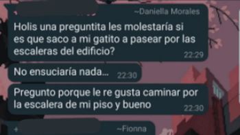 Preguntó en el grupo de vecinos si podía pasear a su gatito por las escaleras del edificio y las respuestas se viralizaron