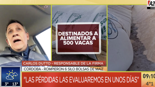 En Córdoba rompieron 6 silo bolsa en los que un tambo guardaba el alimento para sus vacas lecheras
