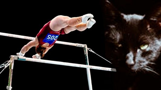 Furor en las redes por gato le arruinó la presentación a deportistas en los Juegos Olímpicos
