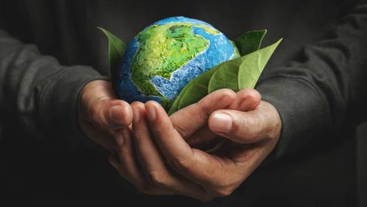 Un llamado a la acción: Día Mundial del Medio Ambiente 2023