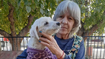 Jubilada tuvo que pedir un préstamo para operar a una perra rescatada pero pasó por la peor pesadilla