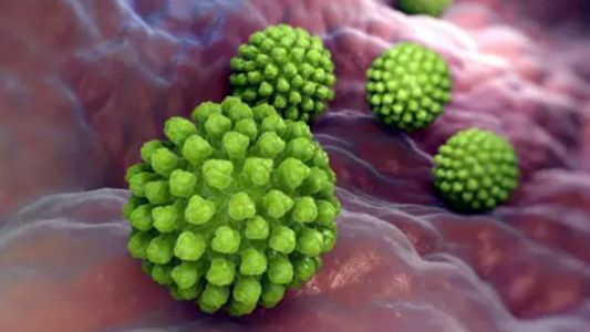 Norovirus y rotavirus: ¿qué riesgo representan los virus detrás de la epidemia de diarrea en el sur de Brasil?