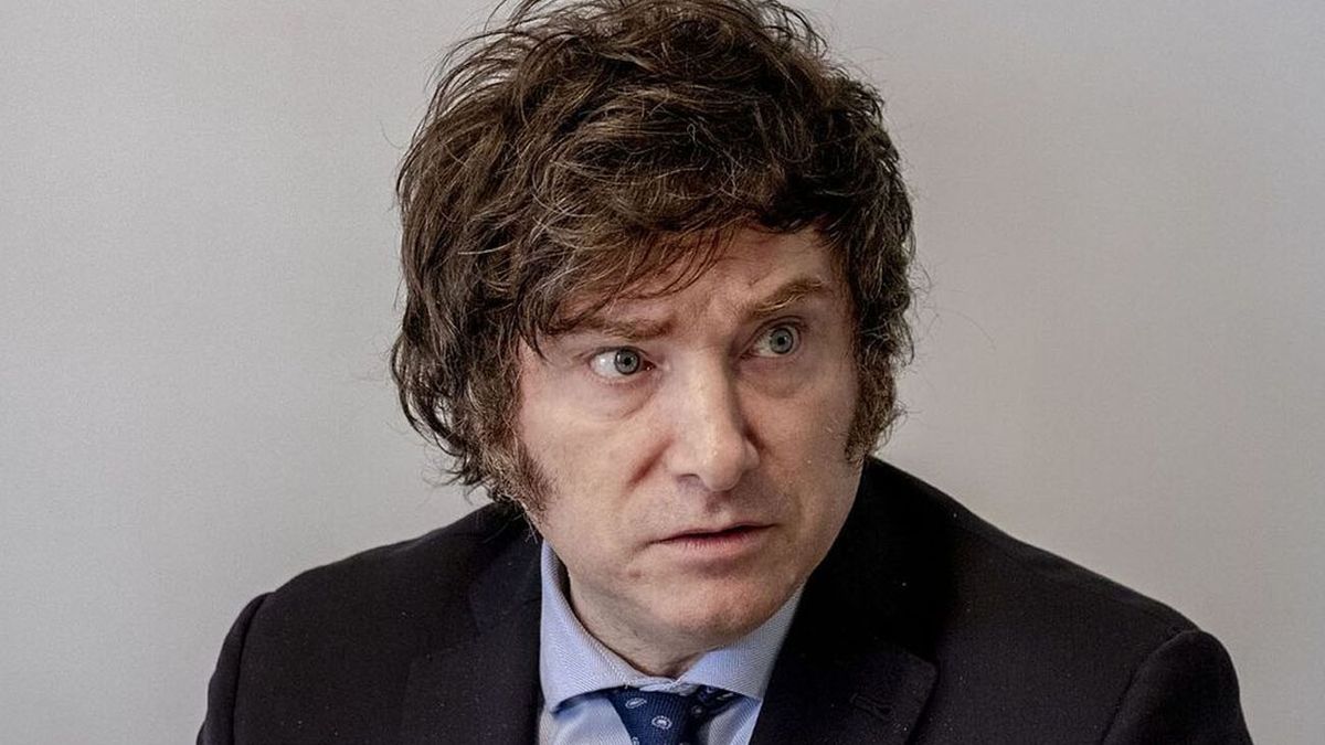 Presentaron la primera denuncia penal contra Javier Milei: lo acusan de una megaestafa (Foto: archivo)