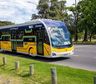 TramBus en la Ciudad de Buenos Aires: los cambios que ya rigen en las calles de Caballito y Almagro