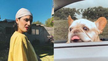 la angustia de florencia torrente por su perro que tiene cancer: vamos a luchar al lado tuyo la angustia de florencia torrente por su perro que tiene cancer: vamos a luchar al lado tuyo