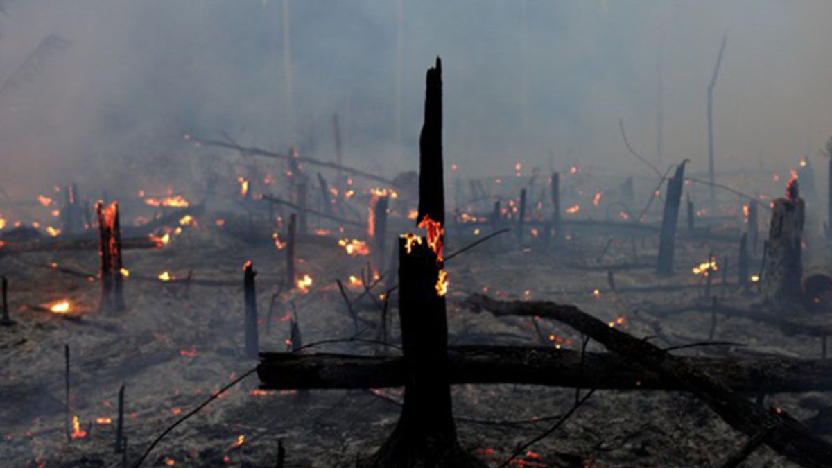 Los incendios sin control devastaron la selva del Amazonas (Foto: Gentileza ORFonline)