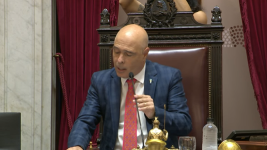 Senado: el oficialismo consiguió quórum para debatir la suspensión de las elecciones PASO