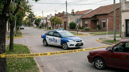 Una imagen que duele: apareció un aguará guazú en plena ciudad y terminó de la peor manera