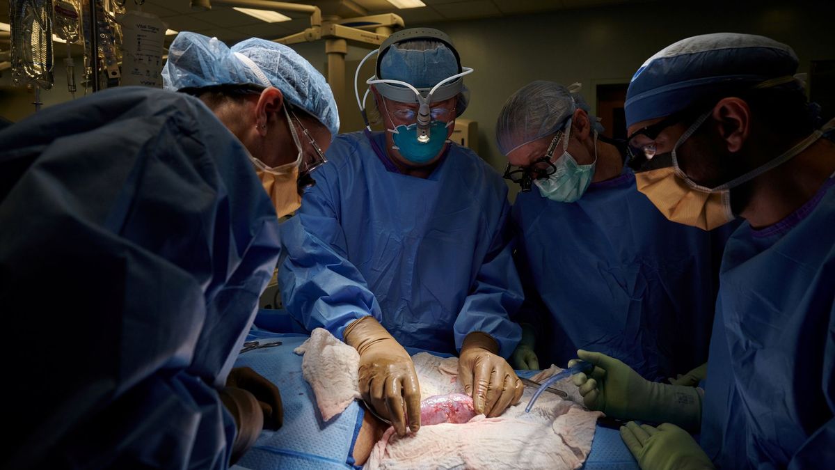 LE Diagnosticaron cáncer en el riñón izquierdo y los médicos le extirparon el derecho