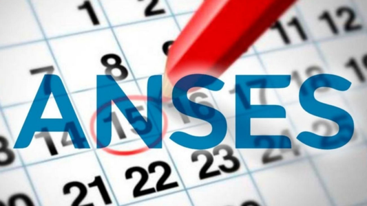 ANSES: conocé el calendario de pagos para noviembre 2021