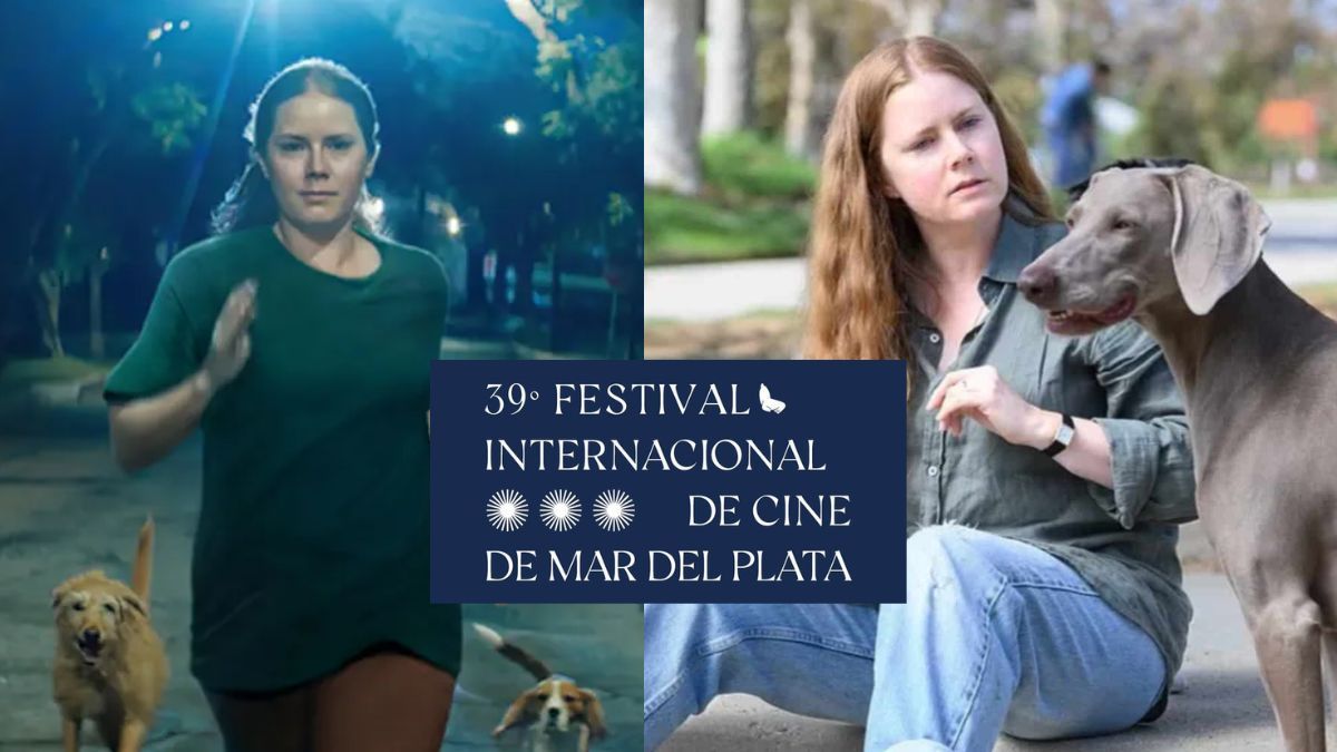 Festival Internacional de Cine de Mar del Plata 2024: Estrenos