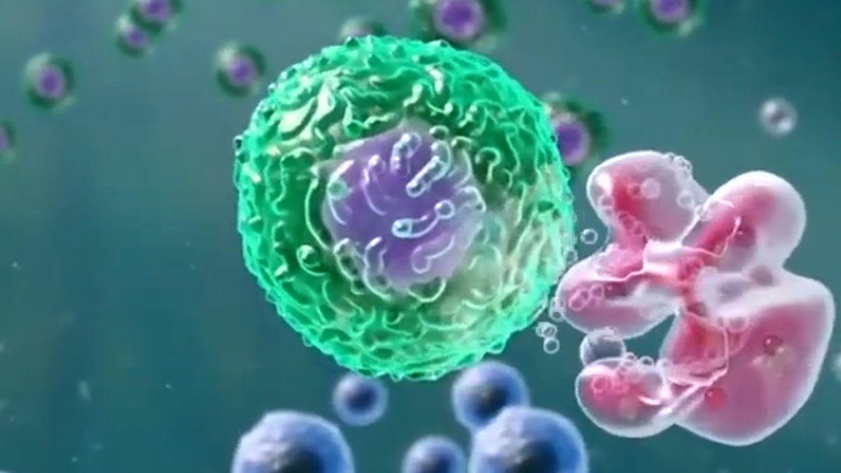 Las bacterias modificadas por la ciencia, ayuda en la lucha contra el cáncer. (Foto: Captura de TV)