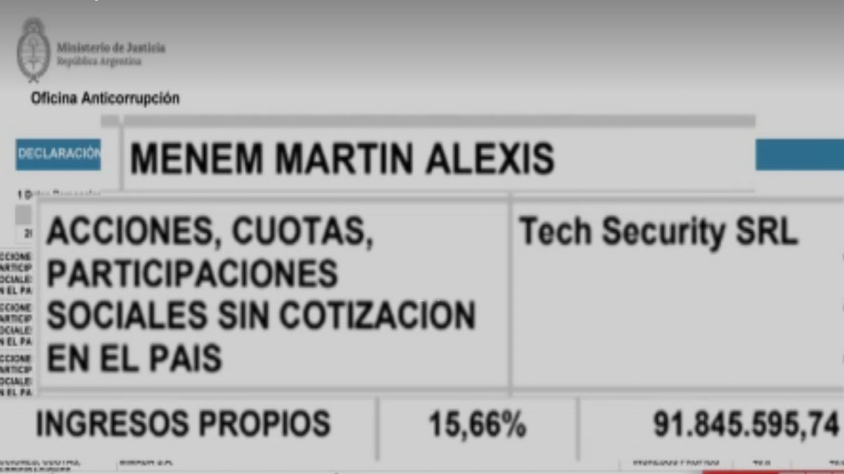 Mart&iacute;n Menem a&uacute;n figura como accionista en la empresa de seguridad de sus hermanos. (Foto: Captura de TV)