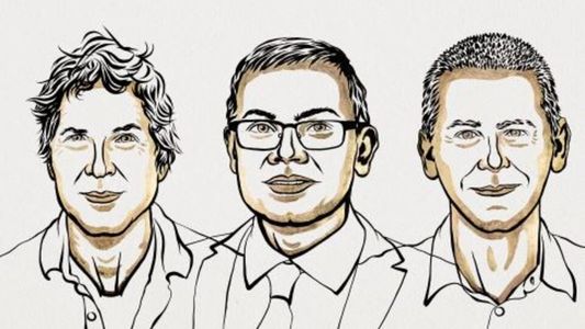 Premio Nobel de Química 2024: quiénes son los ganadores y qué descubrieron