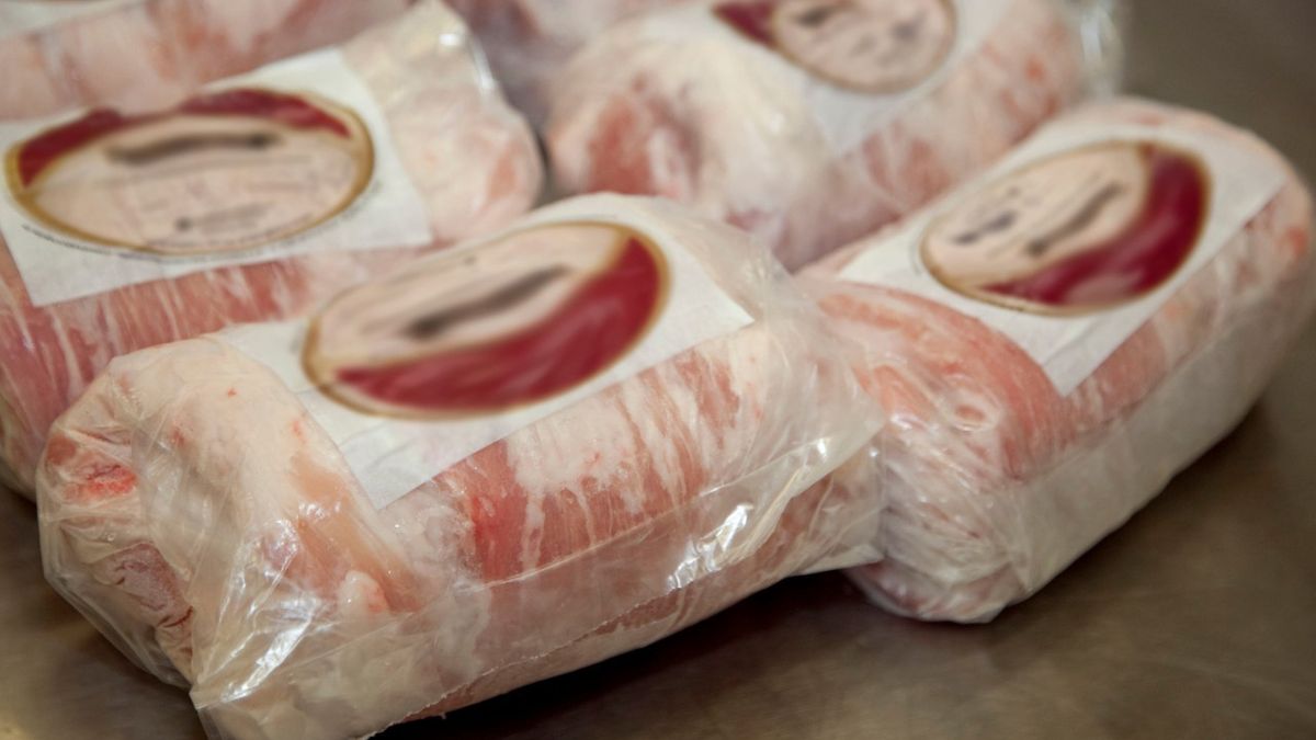 Carne de cerdo crece la producción y el consumo, con exportaciones récord Carne de cerdo crece la producción y el consumo, con exportaciones récord