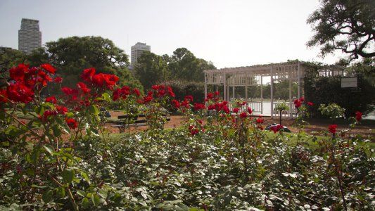 Primavera abrigada: este septiembre será más frío de lo normal