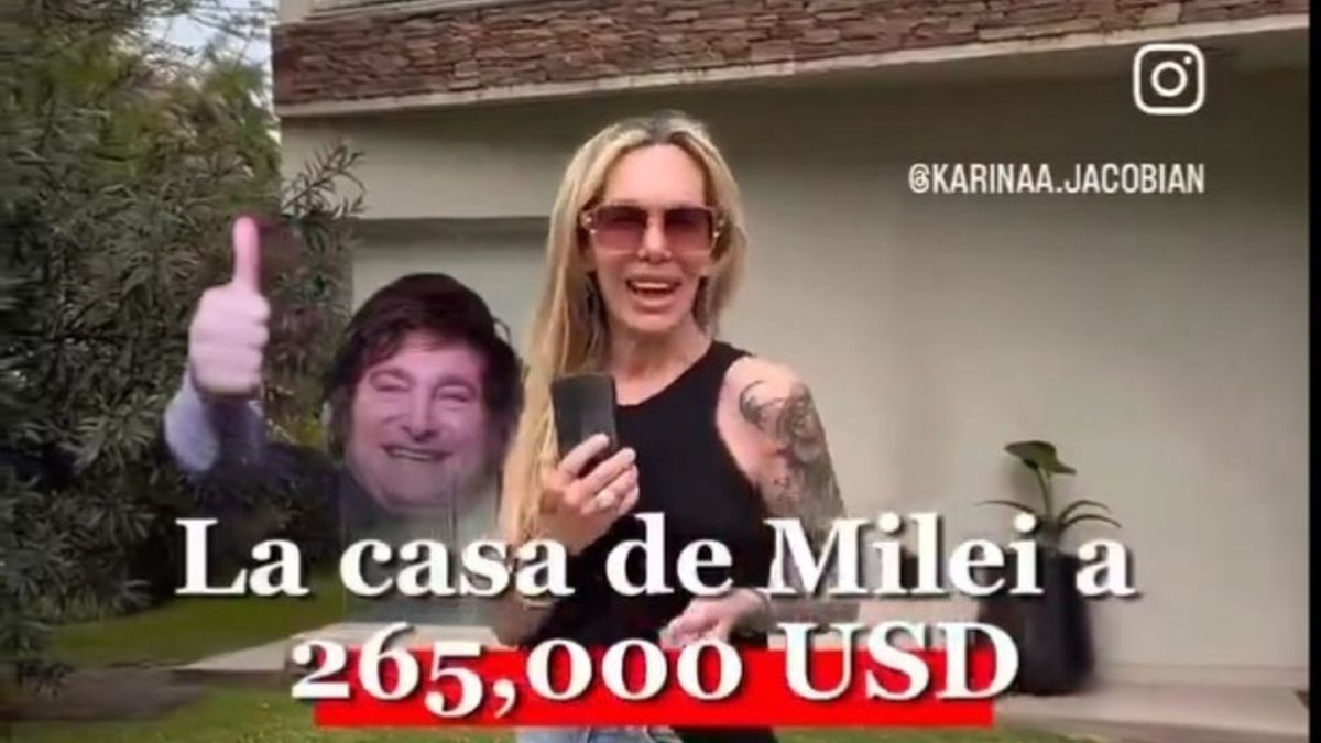 Javier Milei demandará a una vendedora inmobiliaria. (Foto: captura)