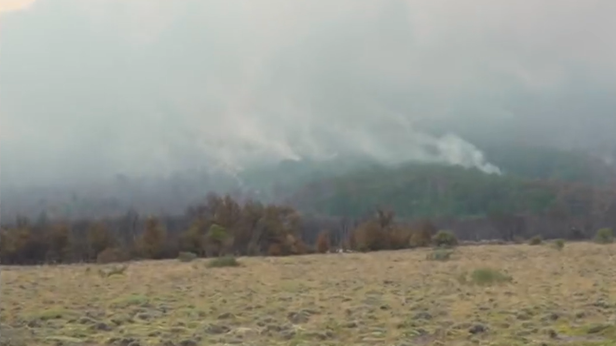 El fuego sigue activo en Chubut y se suman brigadistas a la lucha contra las llamas.&nbsp;