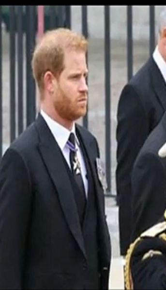 Video | Las curiosidades que dejó el funeral de la Reina Isabel II: una araña, un saludo que no fue y Biden con llegada tarde