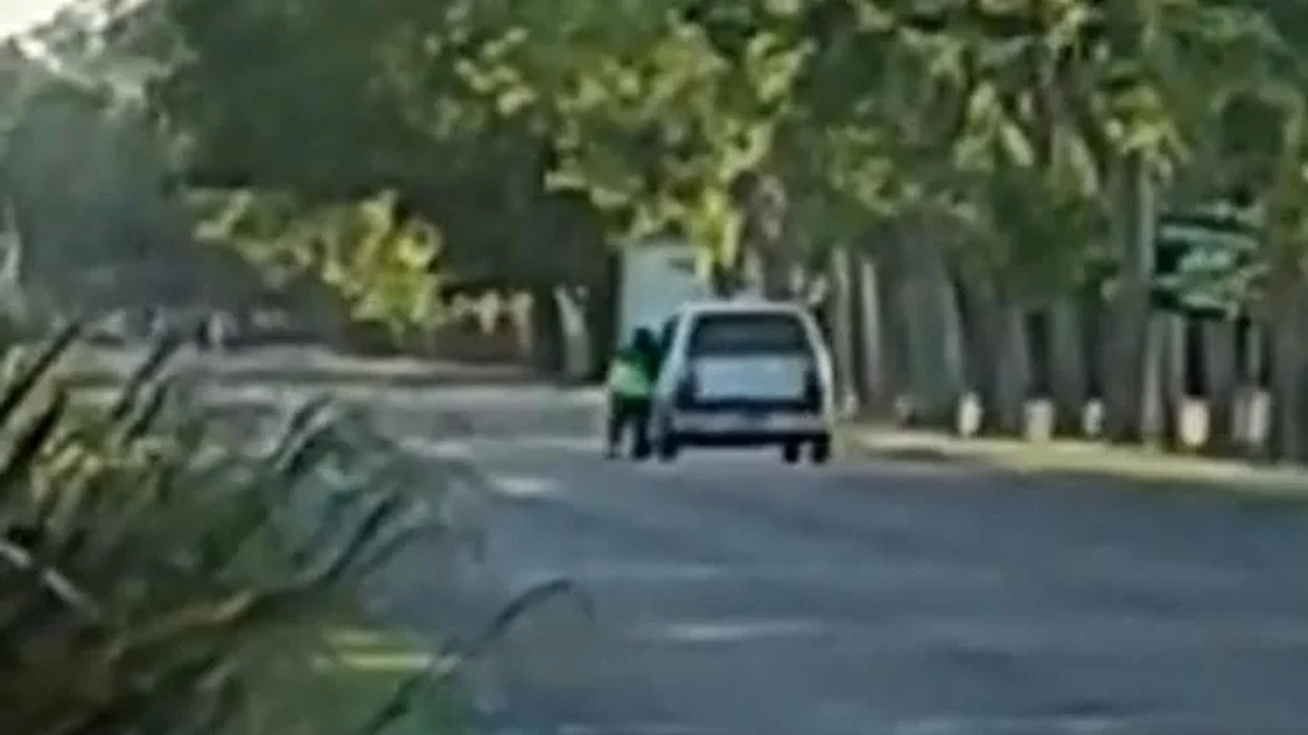 Una agente de tránsito se metió por la ventana de un vehículo para detener a un conductor que intentó evadir un control (Foto: 0223.com.ar).