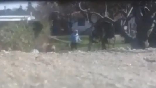 Filmaron a un ex intendente mientras intentaba matar a su perro