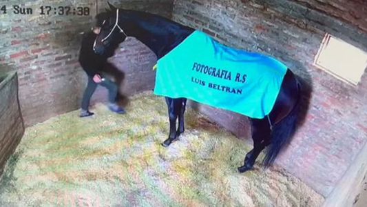 El aberrante video que muestra cómo un jockey y cuidador de caballos mató a un pura sangre
